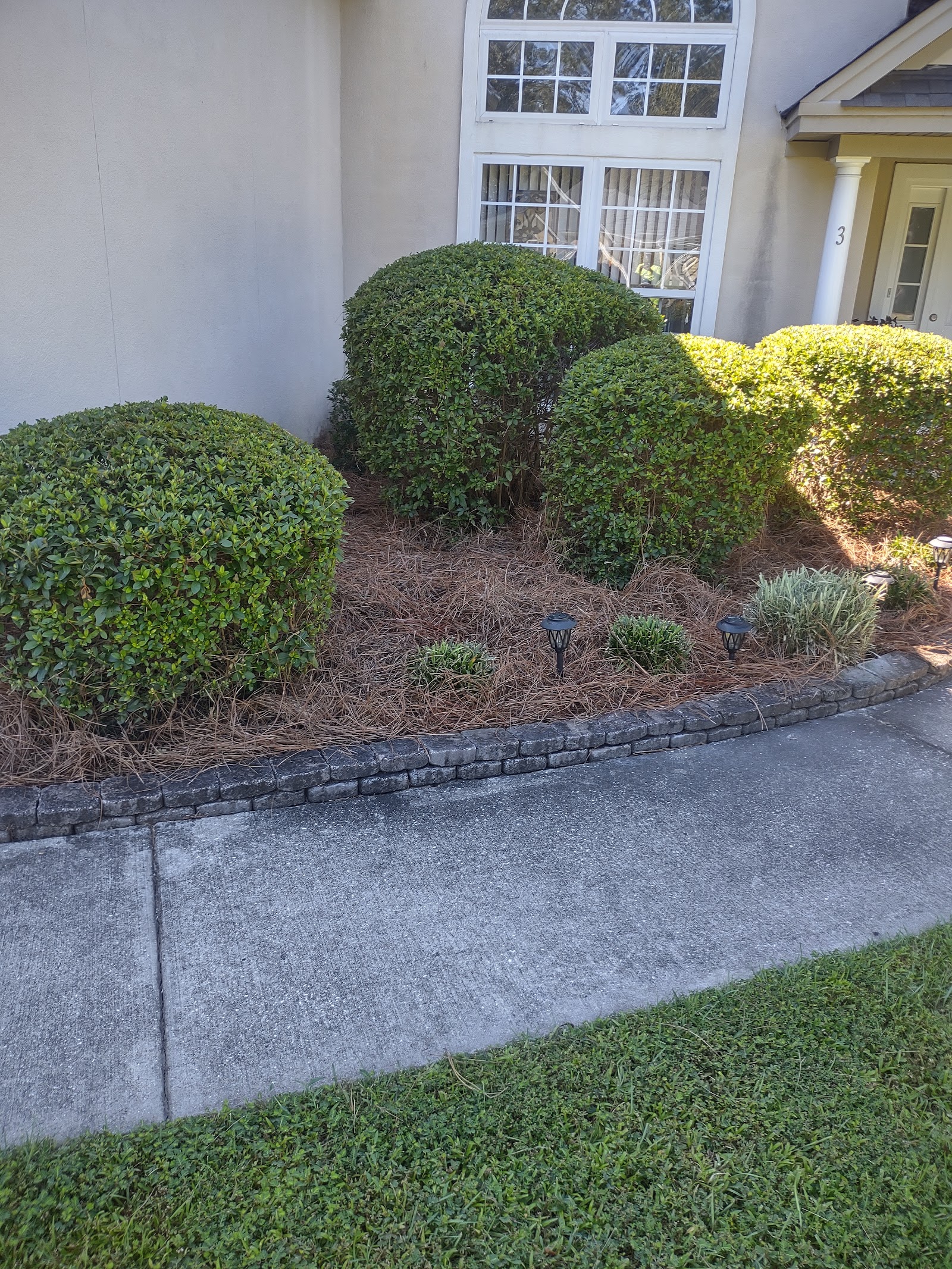 Lawn care work sample 3 by Wink's Lawn Management